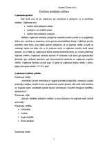 Referāts 'Kvalitātes stratēģija uzņēmumā', 1.