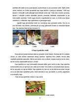 Referāts 'Suņu apmācības veidi', 9.