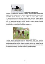 Referāts 'Suņu apmācības veidi', 14.