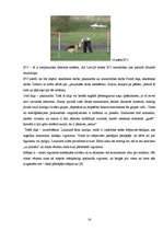 Referāts 'Suņu apmācības veidi', 16.