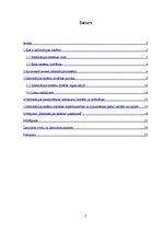 Referāts 'Informācijas sistēmu izvēle uzņēmumā', 2.