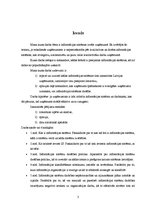 Referāts 'Informācijas sistēmu izvēle uzņēmumā', 3.