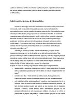 Referāts 'Informācijas sistēmu izvēle uzņēmumā', 9.