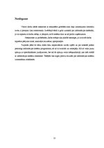 Referāts 'Informācijas sistēmu izvēle uzņēmumā', 25.