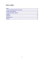 Prakses atskaite 'Prakses pārskats SIA "Birojs.lv"', 2.