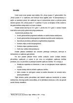 Prakses atskaite 'Prakses pārskats SIA "Birojs.lv"', 3.