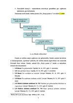 Prakses atskaite 'Prakses pārskats SIA "Birojs.lv"', 7.