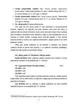 Prakses atskaite 'Prakses pārskats SIA "Birojs.lv"', 8.