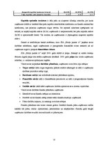 Prakses atskaite 'Prakses pārskats SIA "Birojs.lv"', 16.