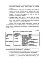 Prakses atskaite 'Prakses pārskats SIA "Birojs.lv"', 19.