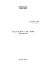 Eseja 'Organizācija, kādā es vēlētos strādāt', 1.