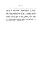 Eseja 'Organizācija, kādā es vēlētos strādāt', 3.