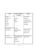 Prakses atskaite 'Vērošanas prakse pirmsskolas izglītības iestādē', 18.