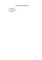 Referāts 'Izmitināšanas iespējas Ogres rajonā', 18.