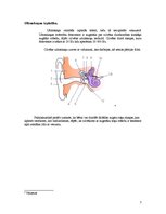 Konspekts 'Ultraskaņa', 7.