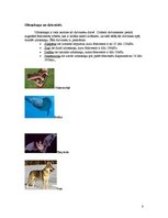 Konspekts 'Ultraskaņa', 8.