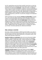 Konspekts 'Seno slāvu vēsture, kultūra, mitoloģija, sabiedrība un kultūras mantojums', 10.