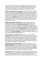 Konspekts 'Seno slāvu vēsture, kultūra, mitoloģija, sabiedrība un kultūras mantojums', 11.