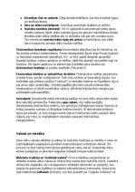 Konspekts 'Seno slāvu vēsture, kultūra, mitoloģija, sabiedrība un kultūras mantojums', 20.