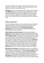 Konspekts 'Seno slāvu vēsture, kultūra, mitoloģija, sabiedrība un kultūras mantojums', 22.