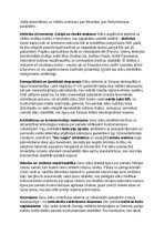 Konspekts 'Seno slāvu vēsture, kultūra, mitoloģija, sabiedrība un kultūras mantojums', 31.