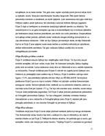 Referāts 'Spānijas uzplaukums un panīkums XVI gadsimtā', 11.