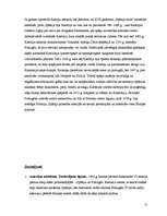 Referāts 'Spānijas uzplaukums un panīkums XVI gadsimtā', 15.