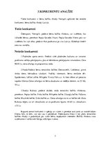 Biznesa plāns 'Biznesa plāns', 7.