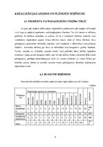 Biznesa plāns 'Biznesa plāns', 8.