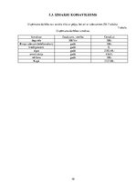 Biznesa plāns 'Biznesa plāns', 10.