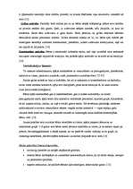 Referāts 'Bērna gatavība skolai', 6.