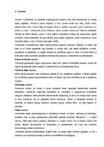 Referāts 'Bērna gatavība skolai', 17.