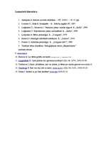 Referāts 'Bērna gatavība skolai', 21.