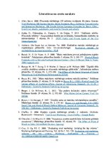 Diplomdarbs 'Mārketinga komunikācijas izstrāde uzņemumā', 32.