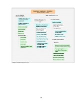 Referāts 'Administratīvo tiesību subjekts - Veselības inspekcija', 16.