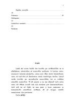 Referāts 'Jauniešu attieksme pret homoseksuālismu', 5.