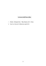 Referāts 'Leona Brieža dzejas krājuma 
"Mariagrammas" analīze un dzejas dzīve mūzikā', 8.