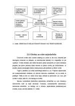 Referāts 'Kadastrs – kibernētiska sistēma, ilgstošas attīstības un vides aizsardzības pama', 13.