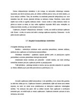 Prakses atskaite 'Kvalifikācijas prakse uzņēmumā "Prospero"', 13.