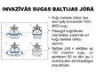 Prezentācija 'Transports Baltijas jūrā', 12.