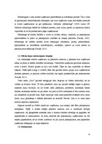 Biznesa plāns 'Attīstības plāns viesu namam "Dz-s"', 10.