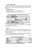 Biznesa plāns 'Attīstības plāns viesu namam "Dz-s"', 22.