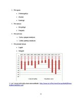 Referāts 'Demogrāfiskās problēmas Latvijā un to risināšanas iespējas', 12.