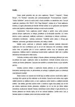 Diplomdarbs 'Lielo uzņēmumu audits', 6.