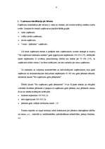 Diplomdarbs 'Lielo uzņēmumu audits', 9.