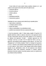 Diplomdarbs 'Lielo uzņēmumu audits', 10.