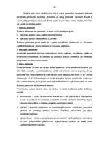 Diplomdarbs 'Lielo uzņēmumu audits', 30.