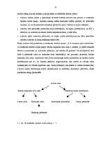 Diplomdarbs 'Lielo uzņēmumu audits', 32.