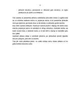 Diplomdarbs 'Lielo uzņēmumu audits', 42.