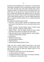 Diplomdarbs 'Lielo uzņēmumu audits', 46.